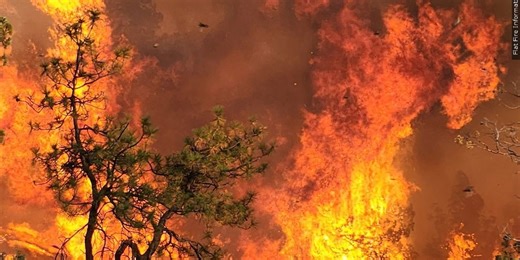 Fire officials urge caution in outside burns after several reported brushfires in Montgomery County