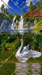 29K views · 3.2K reactions | Beautiful Gifs. on Reels | Facebook