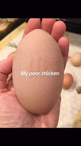 Today’s lesson: counter-peristalsis contraction | MitchCK