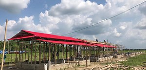 Building back better (and stronger) with bamboo