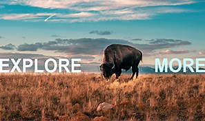 Add text using Photoshop with Lightroom