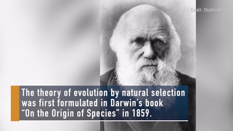 What is Darwin’s theory of evolution?