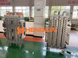 [Hot Item] 64 Cavities Hot Runner Preform Mold Most Efficient Mold