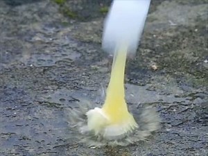 Exploding Film Canisters