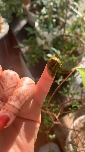 Gopi Henna on TikTok