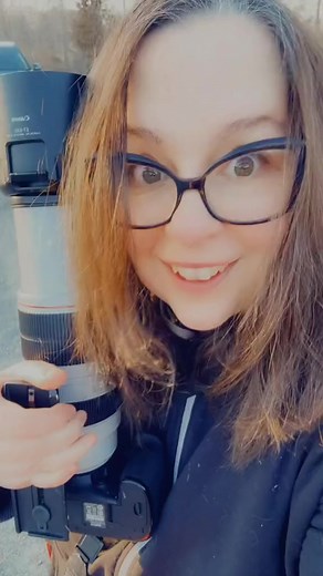 Check out this northern hawk owl! #hawkowl #wildlifefilmmaker #owls #maytheforestbewithyou | Thee Owl Queen