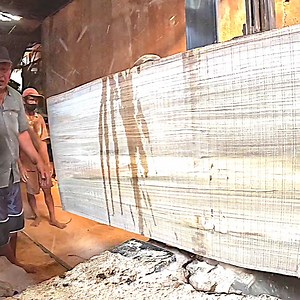19K views · 406 reactions | Here is extreme sawmill giant wood | Sawmill & Woodworking | Facebook