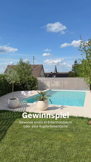 Gewinnspiel: Eisenholzbaum oder Felsenbirne XL gewinnen