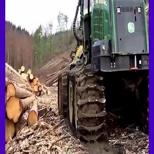 Spruce harvester on slopes QM | Machine Expert