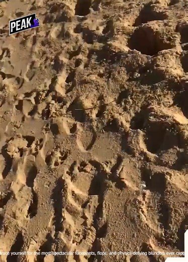 4.8K views · 40 reactions | Fails So Good, They Need a Warning Label"  | Peak | Facebook