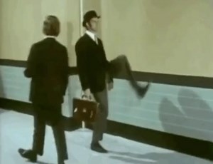 202K views · 11K reactions | Silly walking into the garden when you see the smallest ray of sunshine #montypython | Monty Python | Facebook