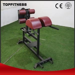 [Hot Item] Wholesale Hyper Bench for Fitness Training and Strength Building