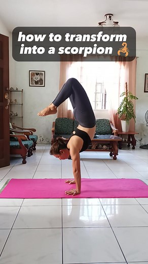 Scorpion handstand🤸🦂 this shape is HARD! It takes a lot of strength and balance. In a straight leg handstand, your hips are over your shoulders and your arms are directly over your head. In the scorpion handstand your arms are almost in plank position which makes extra tricky. #letletyoga #yoga #yogaathome #handstand #handstand365 #handstandscorpion #handstandpractice #handstandchallenge #fitness #fitmom | Letlet Yoga