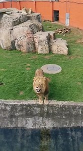 Emerald Resort & Casino on Reels