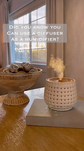 Nicole Boyle on Instagram: "1. Oil diffusers smell great, I am loving Holiday oil right now, like orange, cinnamon, and clove. 2. You can use the diffuser without oil as a good old fashioned humidifier. How pretty is this one? Wouldn’t this look so much better on your bedside table. I am putting one in every room this year! See stories for my favorite ones, or my amazon highlight. . #humidifier #humidifiers #oildiffuser #diffuser #aesthetichome #aesthetichomedecor"