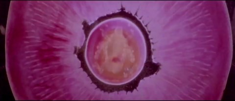 Inseminoid (1981)
