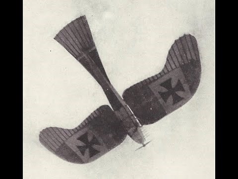 Etrich Taube - “It’s a Bird! No, It’s a Plane!”
