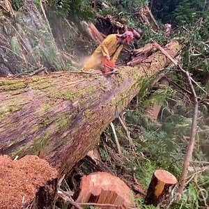 Amazing inventions and gadgets of 2023 | MBautisters | Facebook