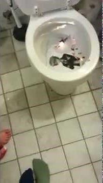 TOGAMI BYAKUYA EXECUTION