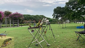 Mass shower after flying 💦 | Teddy, Junior&Kasey