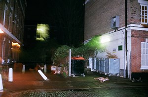 Alex Sturrock Shoots Foxes