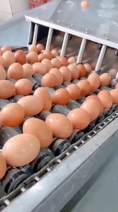 Incroyable machine à pain de technologie !! | Prophete Ken muyaya