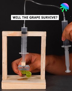 2.2K views | Crushing Pressure Test: Can the Grape Survive?  | The Best Science Videos | Facebook