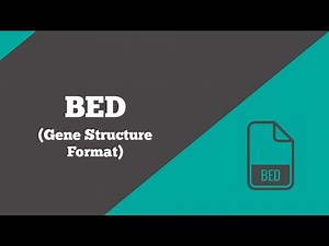 Bioinformatics: BED | What is a BED file? | File Format | BioCode Ltd