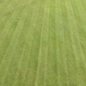 14K views · 112 reactions | Lawn Striping With The Toro Multiforce | Brian's Lawn Maintenance - Youtube | Facebook