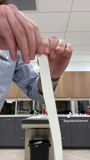 Golden Heart Vet on TikTok