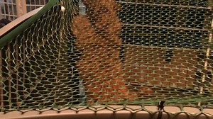 Watch Perfect with a few modifications on Amazon Live