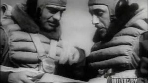 An outline of the Stuka's Service