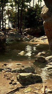 Small Stream Flowing Through Rocky Forest