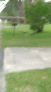 Strong thunderstorm winds dropped this tree in Waycross, Georgia. The severe weather threat is over for tonight but scattered showers & storms will redevelop Friday with a few strong to severe storms possible. But the front exits Friday night providing a very nice weekend! Action News Jax News 104.5 WOKV | Mike Buresh