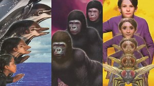 Animorphs Books 4, 5, and 6 to Be Adapted Into Graphic Novels | Den of Geek