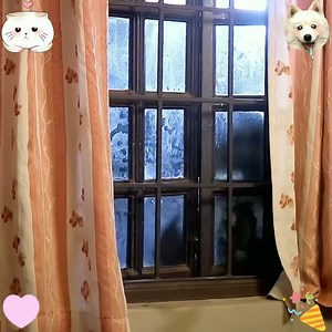 Discover hidden gems in Indian short films that are pure cinematic brilliance! 🌟 From gripping plots to stunning visuals, these videos are sure to captivate you. Check them out! #HiddenGems #FilmBrilliance #IndianShorts #VisualMasterpiece #CinematicArt #FilmBuffs #MovieMagic #IndianCreatives #ShortFilmSpectacle | Ok xa tw