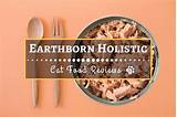 Earthborn Holistic Canned Cat Food Reviews Images