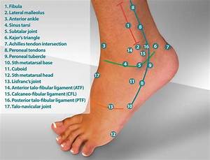 Top Side Foot Chart