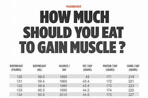 How Much Should You Eat To Gain Muscle