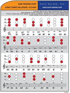 The Basic Guitar Tabula For Begin To Learn How To Play Music With This