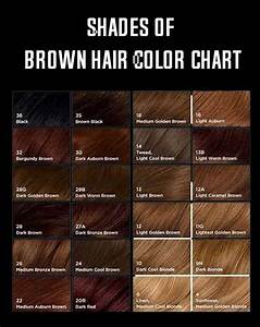 Shades Of Brown Hair Color Brown Hair Shades Brown Hair Color Chart
