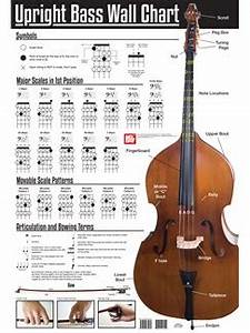 Upright Bass Wall Chart Double Bass Books Tuition Musicroom Com