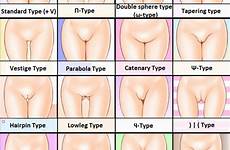 pussy chart gap mound rule34 crotch thighs thigh respond edit translated