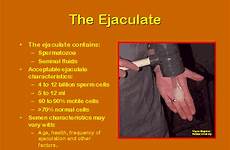 ejaculate