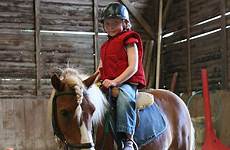 pony riding wooden stock similar