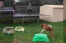 trampoline bouncing pretends