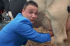 milking cows gifs gif tenor