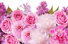 rosas hermosas wallpapertip rosen tablet rosé hermoso wallpapersafari teahub wallpaperbat