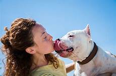dog mouth myths lick face human let owners believe licking there woman still many