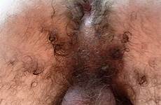 otter hot hairy man fuck master tumblr yeah parts squirt daily shit 1280